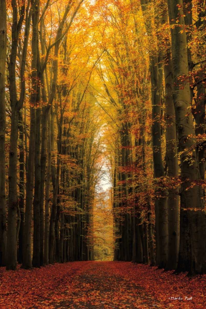 Highway to Heaven art print by Martin Podt for $57.95 CAD