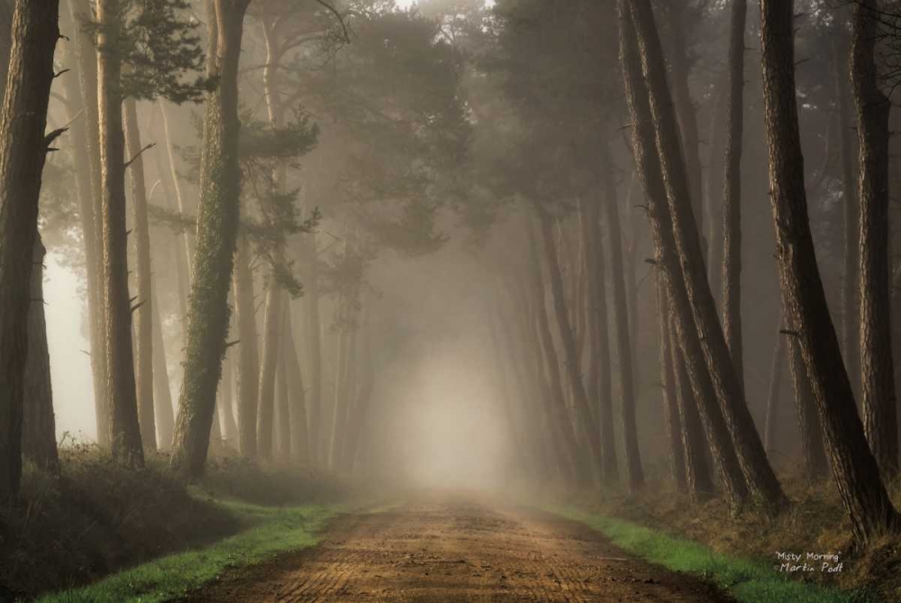 Misty Morning art print by Martin Podt for $57.95 CAD