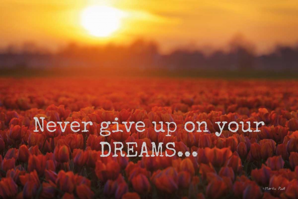 Never Give Up on Your Dreams art print by Martin Podt for $57.95 CAD
