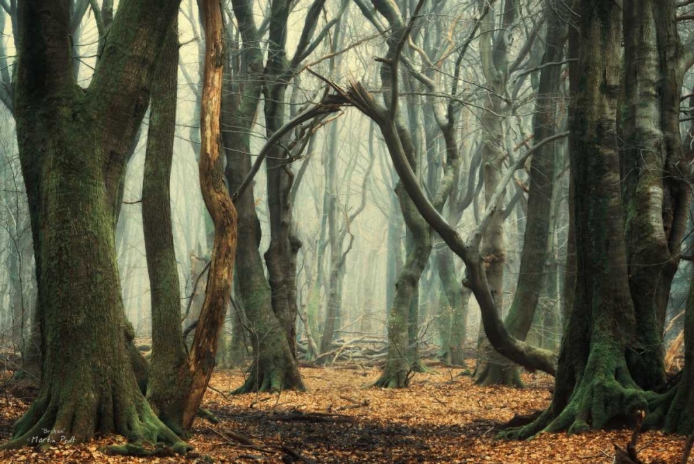 Broken art print by Martin Podt for $57.95 CAD