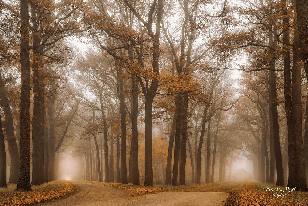 Split art print by Martin Podt for $57.95 CAD