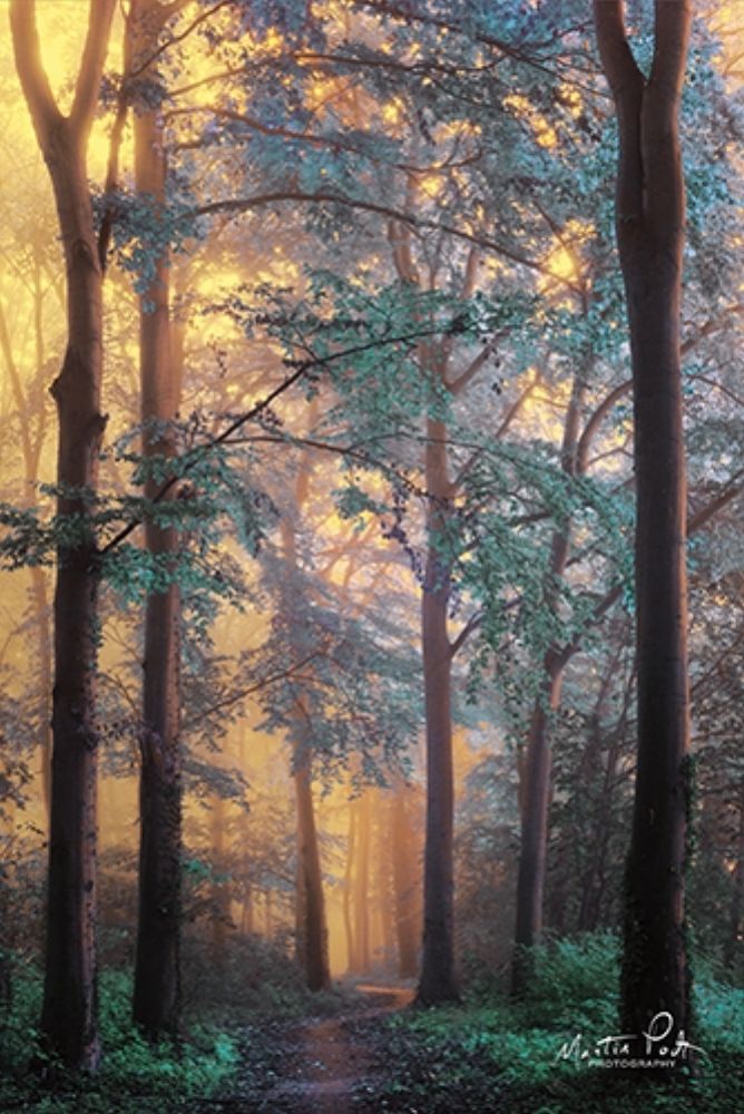 Wonderland art print by Martin Podt for $57.95 CAD