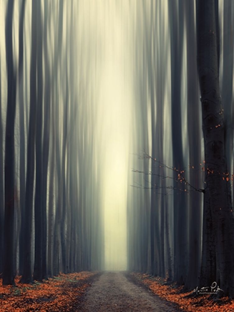 Reaching Out art print by Martin Podt for $57.95 CAD