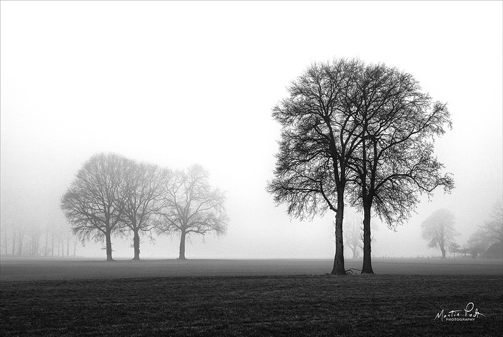 Together Again art print by Martin Podt for $57.95 CAD