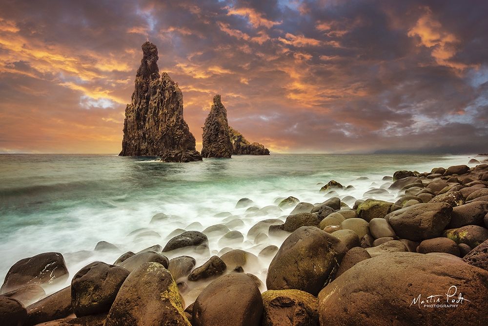 Standing Strong art print by Martin Podt for $57.95 CAD