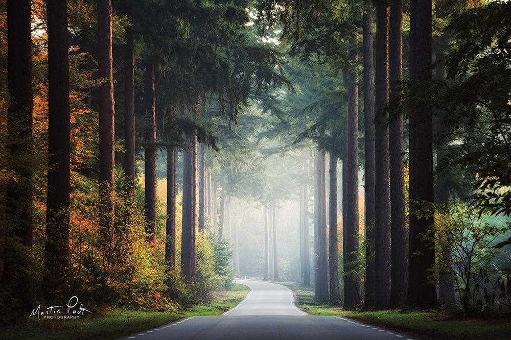 Mysterious Roads art print by Martin Podt for $57.95 CAD