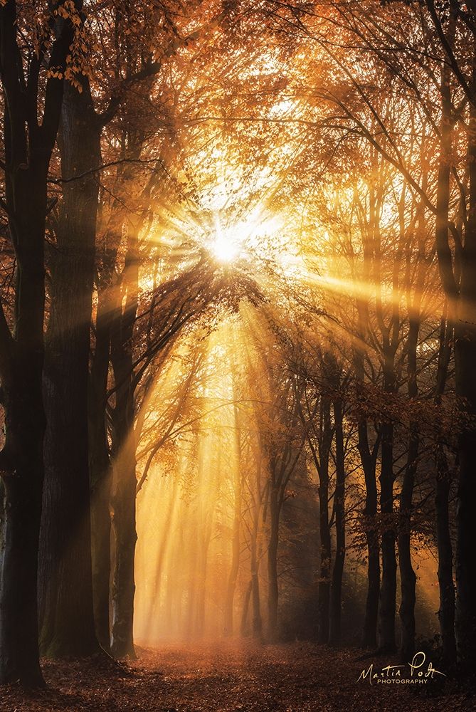 Sunburst art print by Martin Podt for $57.95 CAD
