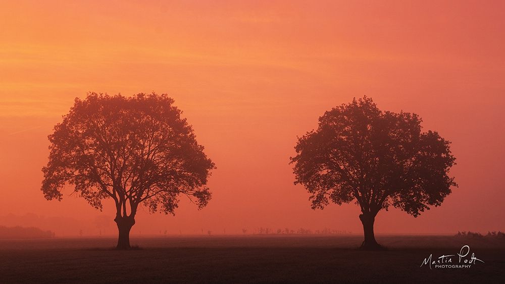 The Couple art print by Martin Podt for $57.95 CAD