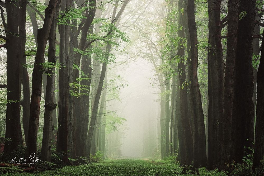 Moisture is the Essence of Wetness art print by Martin Podt for $57.95 CAD