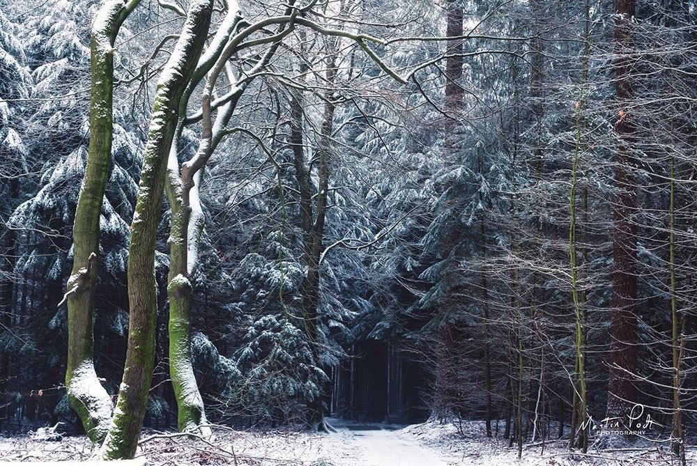 Gate to the Dark World art print by Martin Podt for $57.95 CAD