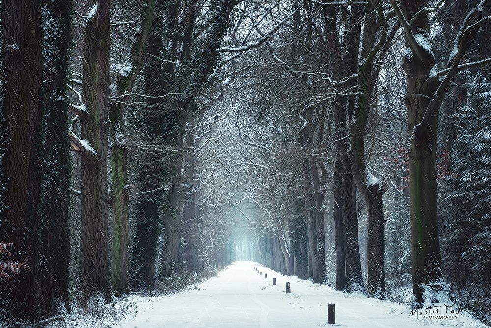 Snow in Markelo art print by Martin Podt for $57.95 CAD
