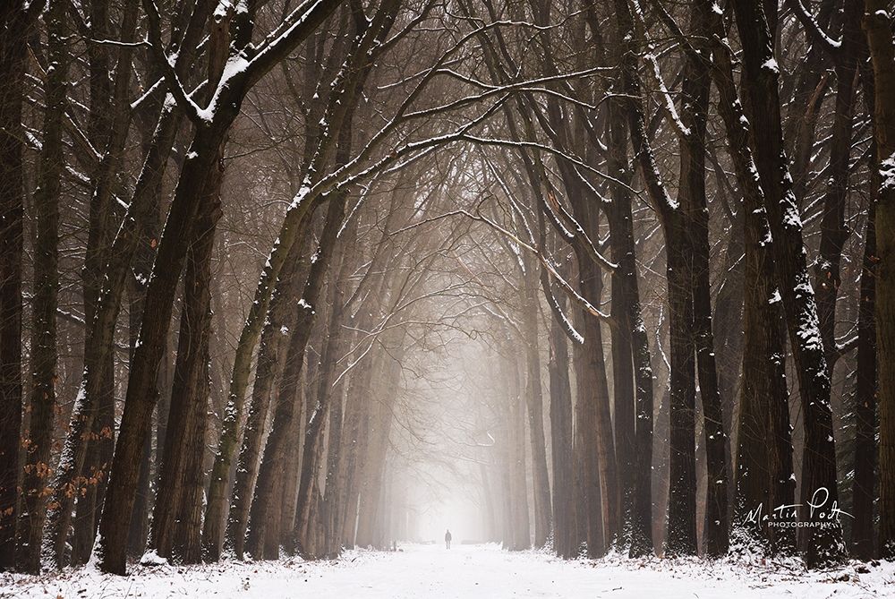 Lochem in Winter art print by Martin Podt for $57.95 CAD