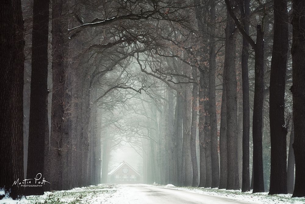 Haunted House art print by Martin Podt for $57.95 CAD