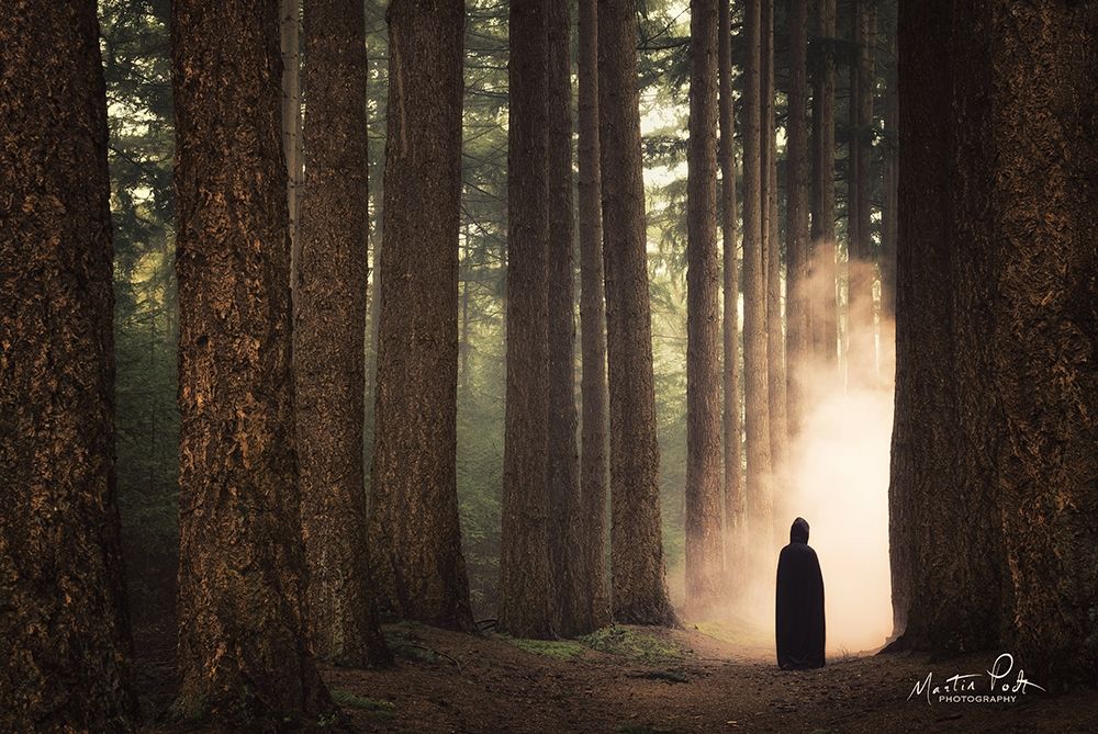 Ruben II art print by Martin Podt for $57.95 CAD