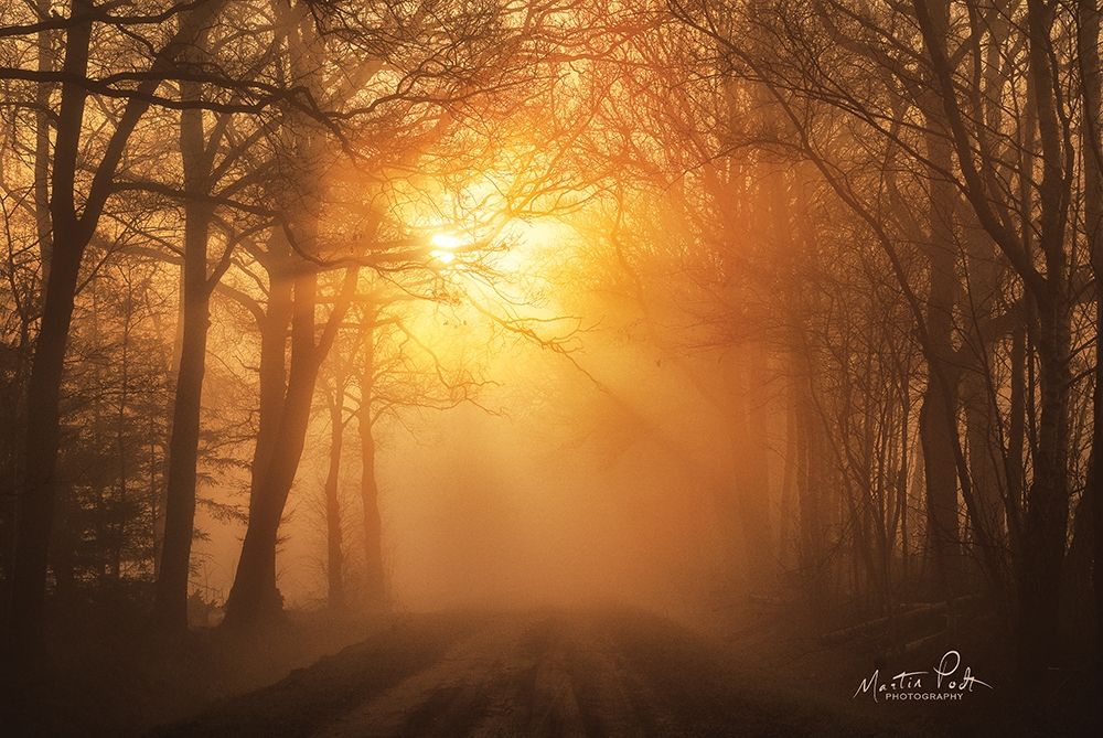 Misty Sunrise art print by Martin Podt for $57.95 CAD