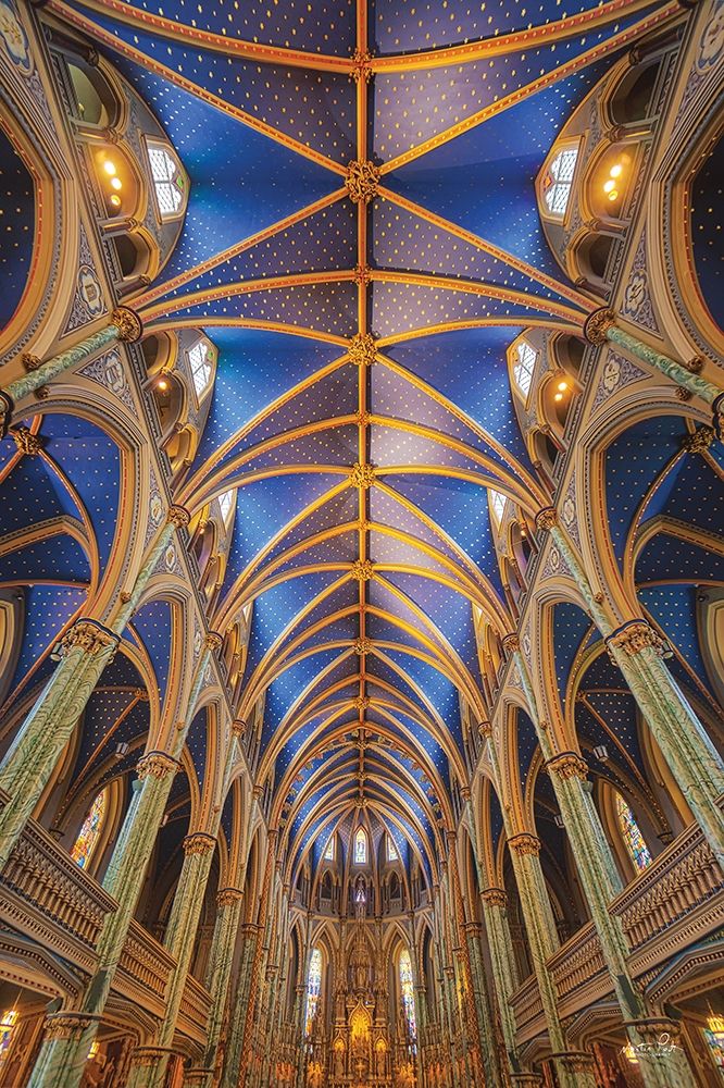 Notre-Dame Cathedral Basilica art print by Martin Podt for $57.95 CAD