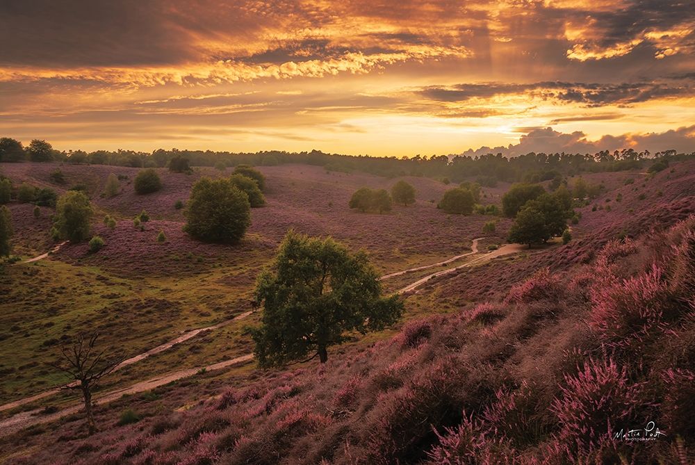 Just a Sunset in the Netherlands art print by Martin Podt for $57.95 CAD