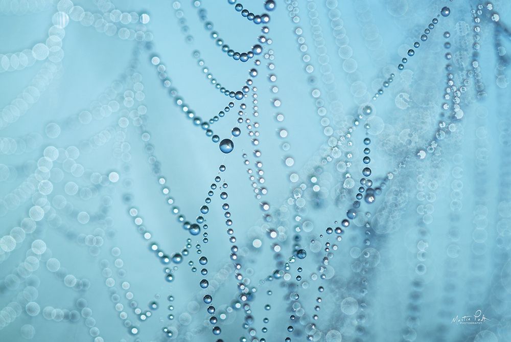 Natures Jewels I art print by Martin Podt for $57.95 CAD