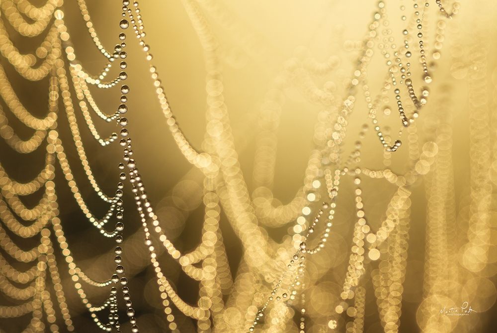 Natures Jewels II art print by Martin Podt for $57.95 CAD