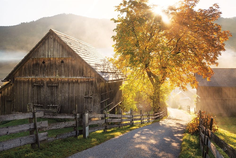 Autumn Road art print by Martin Podt for $57.95 CAD