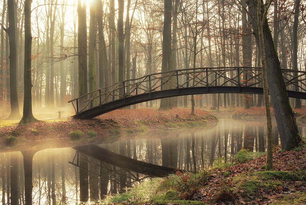 Bridge Over Troubled Waters art print by Martin Podt for $57.95 CAD
