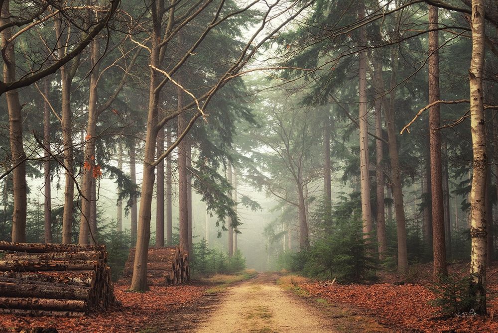 Harvesting Time art print by Martin Podt for $57.95 CAD