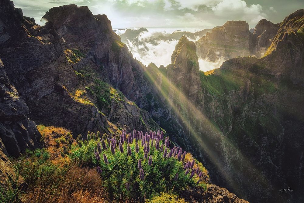 The View art print by Martin Podt for $57.95 CAD