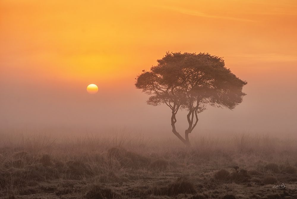 Enjoy the Silence I art print by Martin Podt for $57.95 CAD