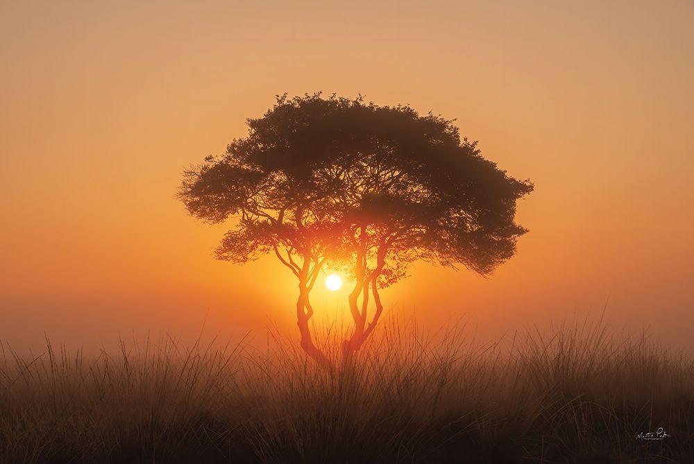 Enjoy the Silence III art print by Martin Podt for $57.95 CAD