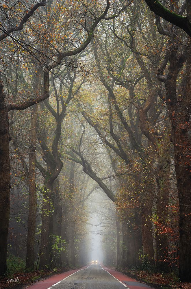Tiny Car art print by Martin Podt for $57.95 CAD