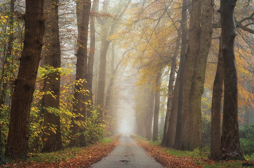 Autumnal Moodiness art print by Martin Podt for $57.95 CAD