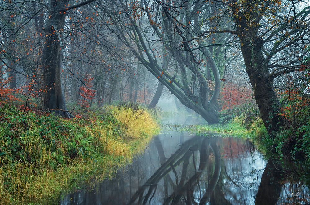 The Creek art print by Martin Podt for $57.95 CAD