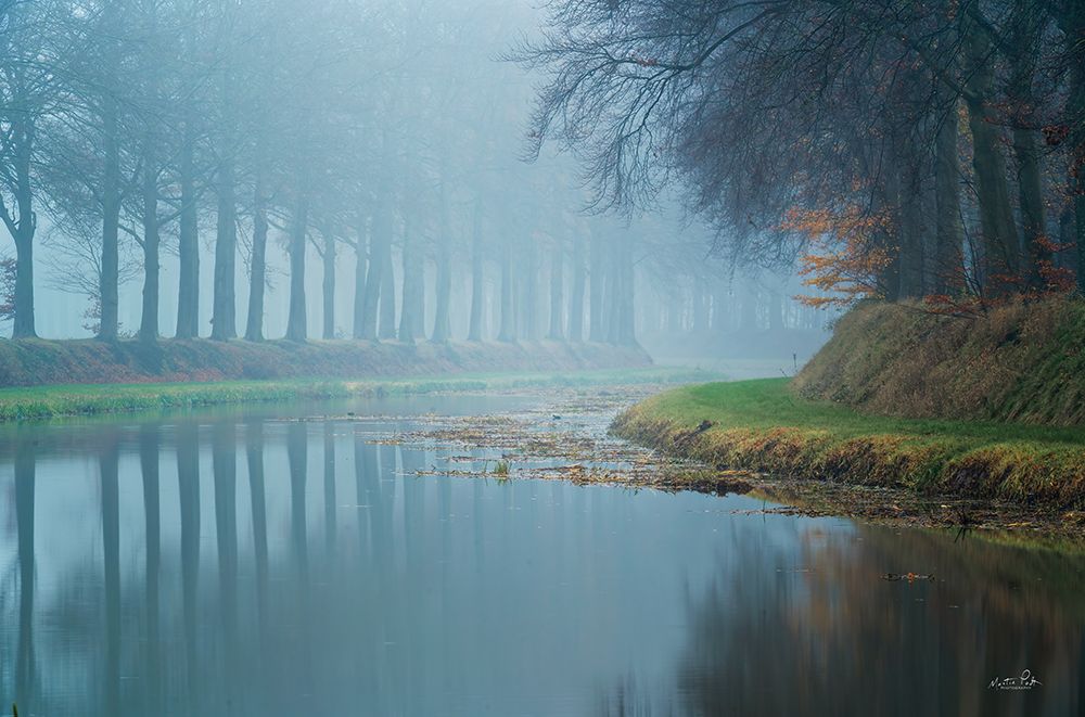 Foggy Reflections art print by Martin Podt for $57.95 CAD