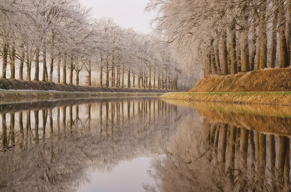 Frosty Reflections art print by Martin Podt for $57.95 CAD