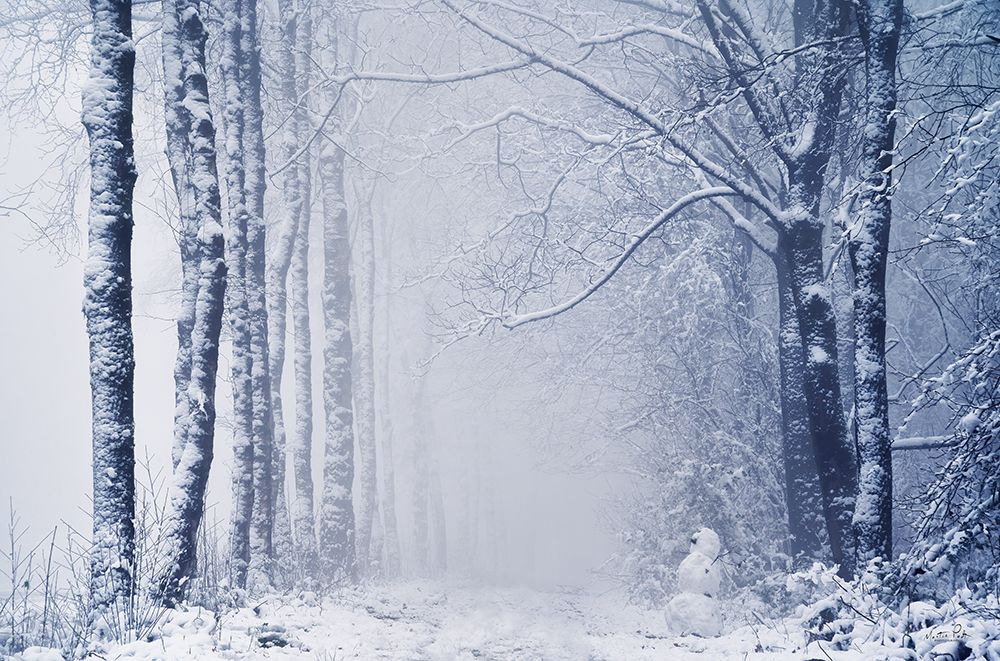 Alone in the World art print by Martin Podt for $57.95 CAD