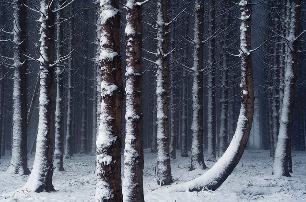 Crooked art print by Martin Podt for $57.95 CAD