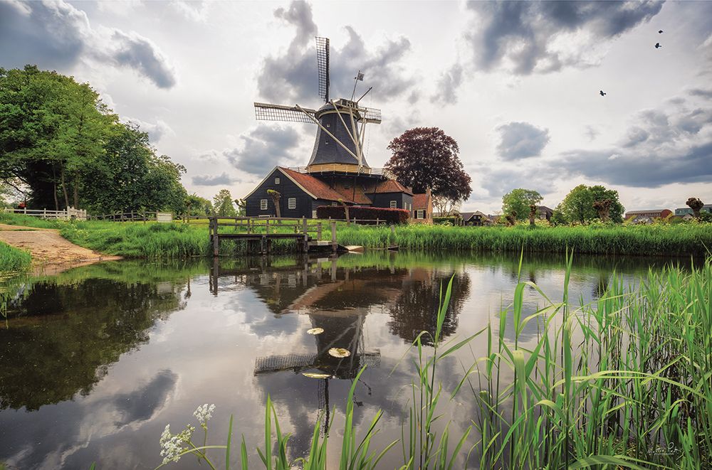 Beauty in the Sky art print by Martin Podt for $57.95 CAD