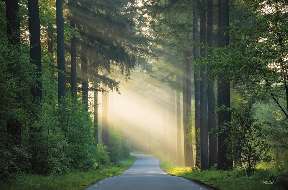 The Road art print by Martin Podt for $57.95 CAD
