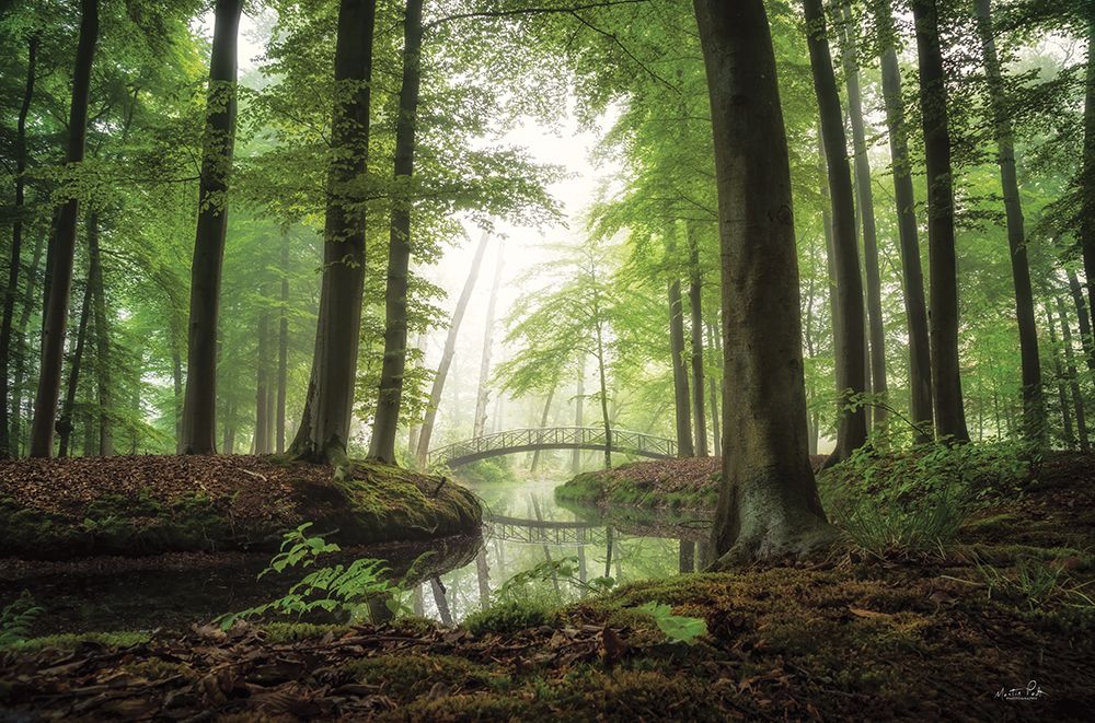 On a Beautiful Morning art print by Martin Podt for $57.95 CAD