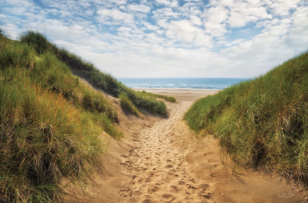 The Dutch North Sea Coast I art print by Martin Podt for $57.95 CAD