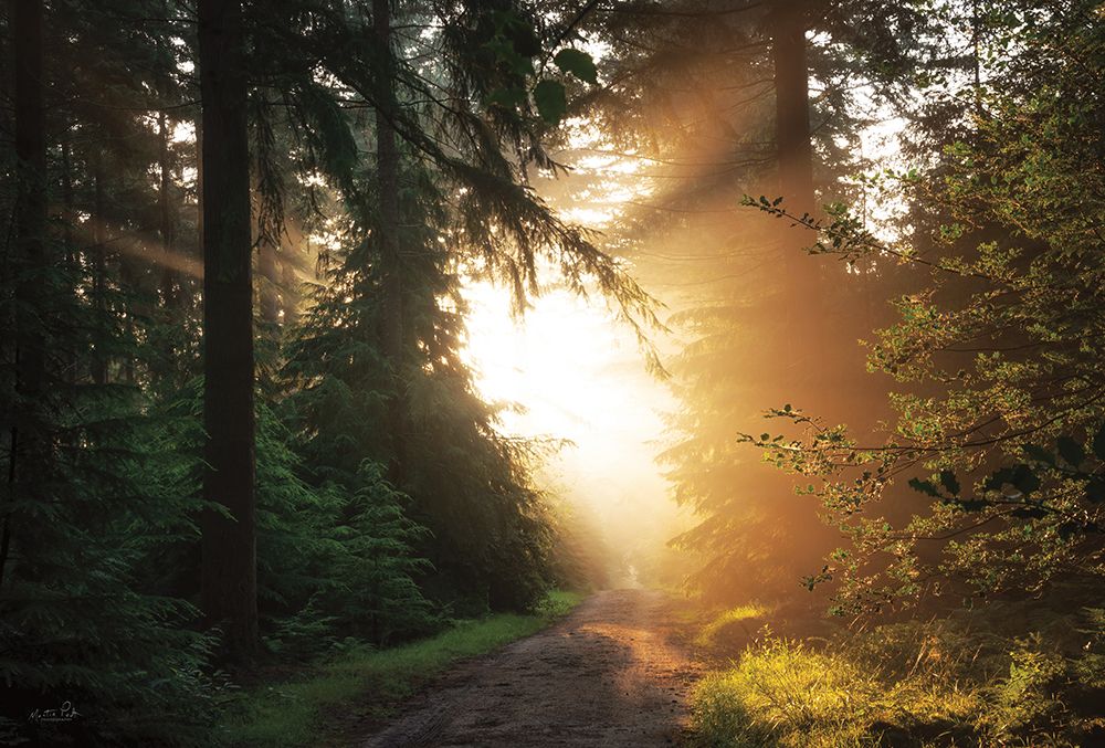 Light Explosion art print by Martin Podt for $57.95 CAD