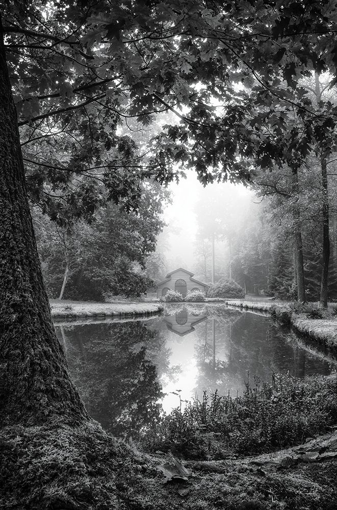 Cabin in the Woods art print by Martin Podt for $57.95 CAD