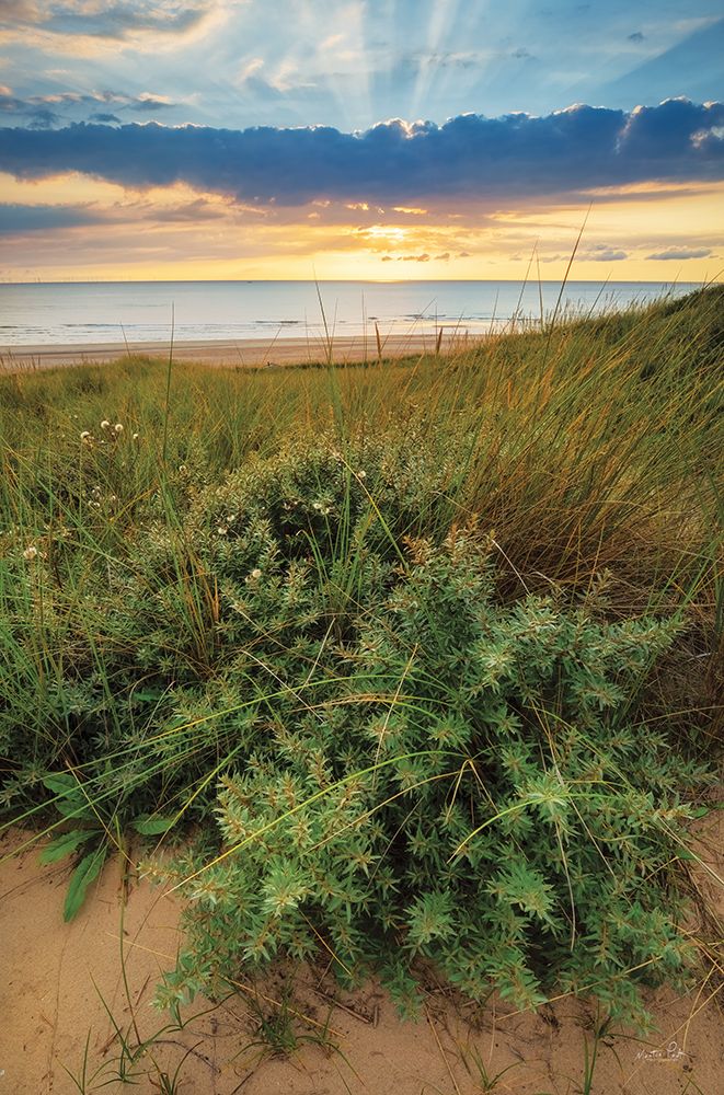 Dutch Dunes art print by Martin Podt for $57.95 CAD