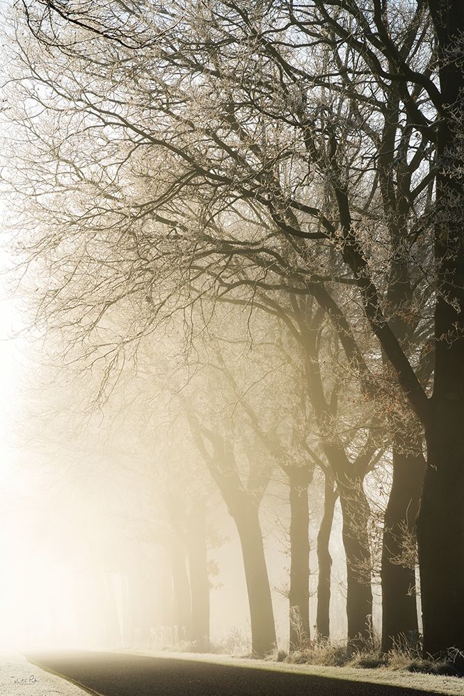 Fading Into the Light art print by Martin Podt for $57.95 CAD
