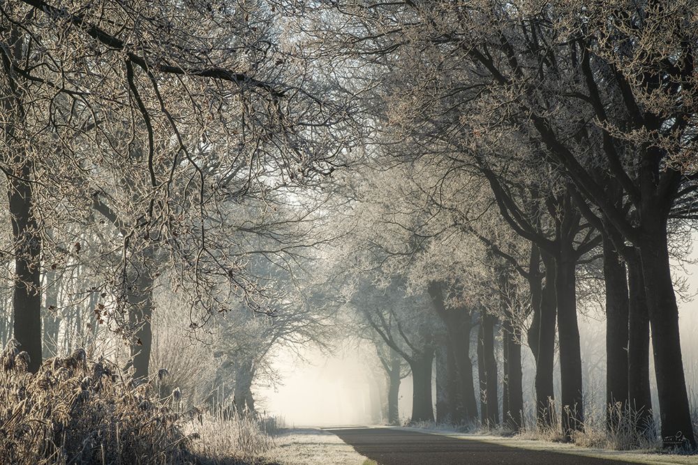 Dressed for Winter art print by Martin Podt for $57.95 CAD
