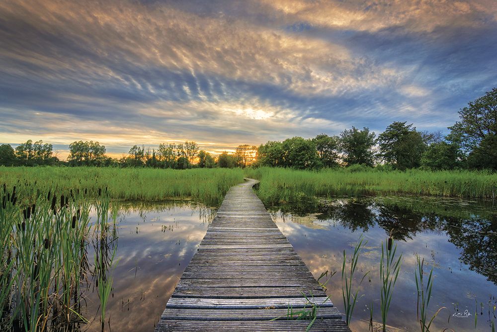 Boardwalk art print by Martin Podt for $57.95 CAD