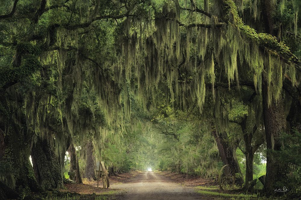 The Old Farm Road art print by Martin Podt for $57.95 CAD