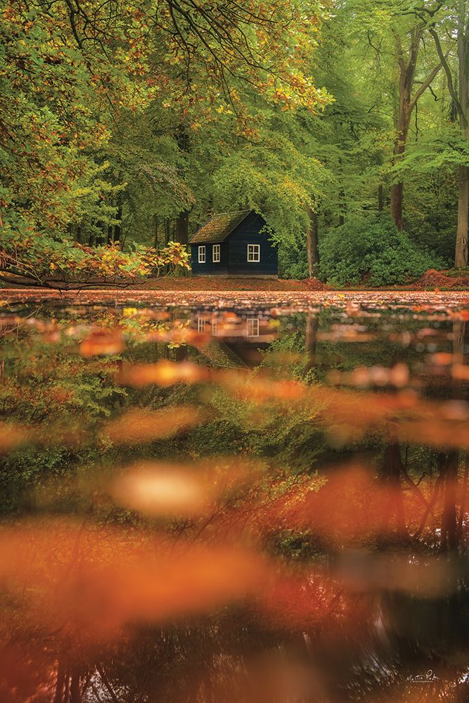 Cabin Reflections art print by Martin Podt for $57.95 CAD