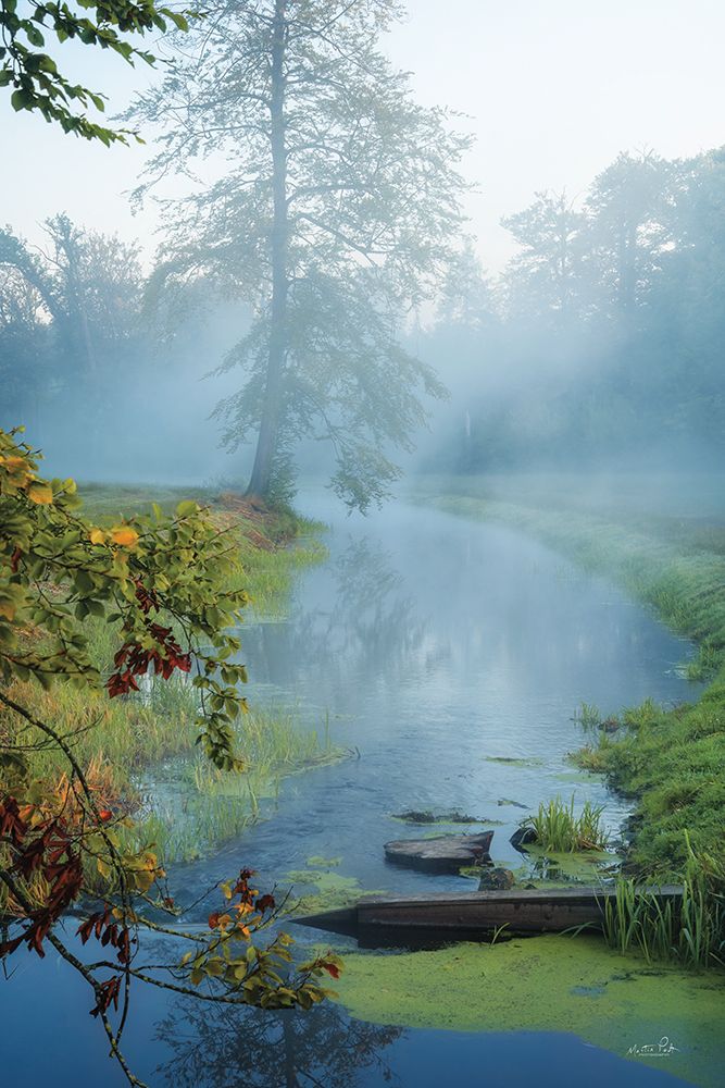 Perfect Start of Autumn art print by Martin Podt for $57.95 CAD