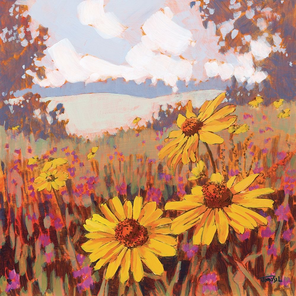 Black-Eyed Susans art print by Jim Musil for $57.95 CAD